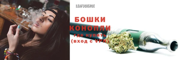 СК Белокуриха